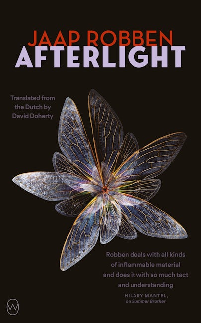 Book cover image for Afterlight ISBN: 9781642861471
